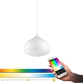 Eglo 98047 - Lampadario a sospensione dimmerabile LED RGBW su cavo COMBA-C LED/18W/230V