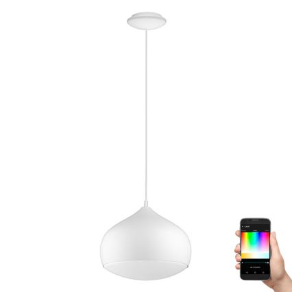 Eglo - Lampadario LED RGBW dimmerabile su una corda COMBA-C LED/18W/230V Bluetooth