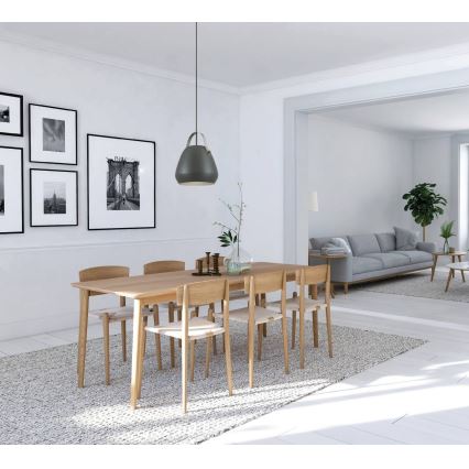 Eglo 98349 - Lampadario a sospensione con cavo BEDNALL 1xE27/60W/230V