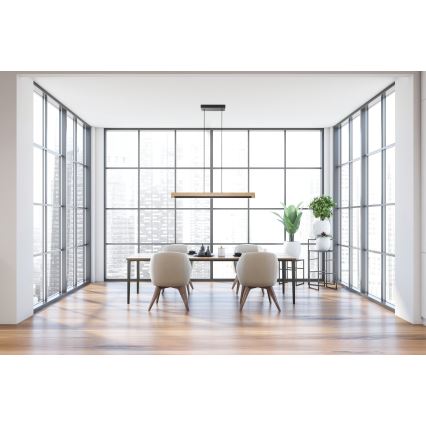 Eglo - Lampadario a sospensione con filo LED dimmerabile LED/25,5W/230V