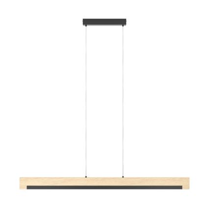 Eglo - Lampadario a sospensione con filo LED dimmerabile LED/25,5W/230V