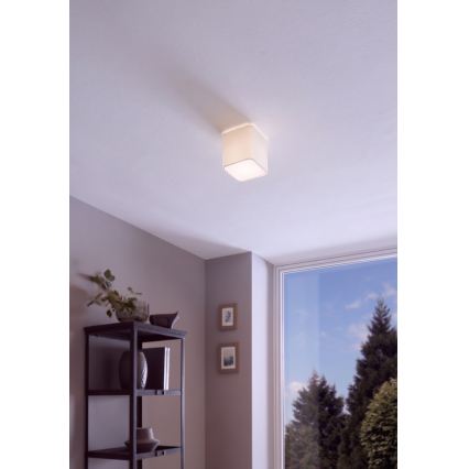 Eglo - Plafoniera 1xE27/28W/230V