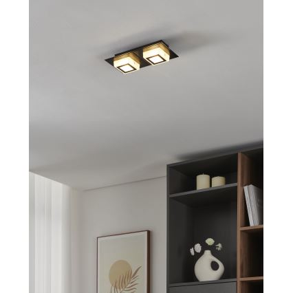 Eglo 99362 - Plafoniera LED MASIANO 2xLED/3,3W/230V