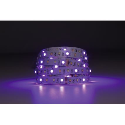 Eglo - Striscia LED RGBW dimmerabile 5m LED/11W/12/230V 2700-6500K ZigBee