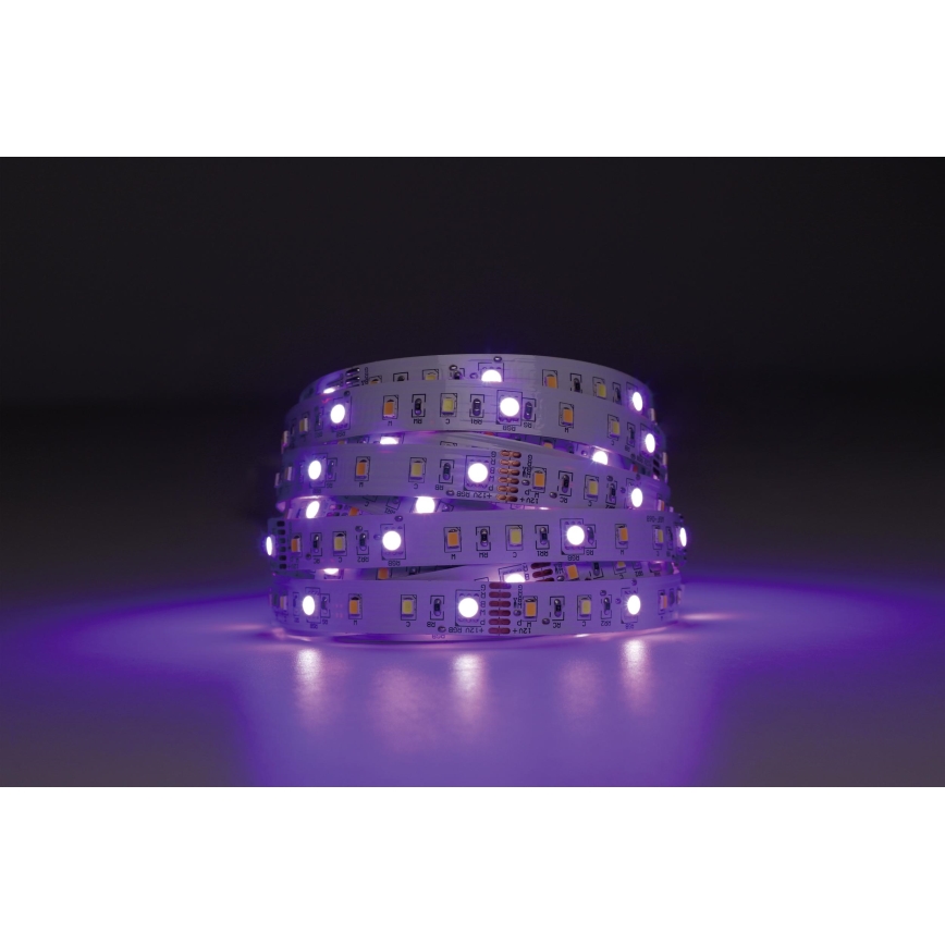 Eglo - Striscia LED RGBW dimmerabile 5m LED/11W/12/230V 2700-6500K ZigBee
