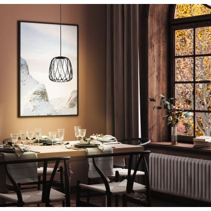 Eglo - Lampadario su corda  1xE27/40W/230V
