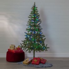 Eglo - Albero di Natale 180 cm abete