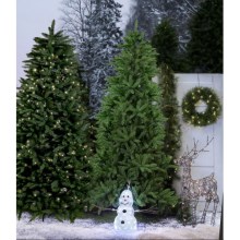 Eglo - Albero di Natale  210 cm abete