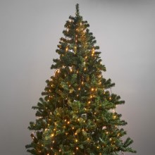 Eglo - Catena natalizia LED da esterno 360xLED 2m IP44 bianco caldo
