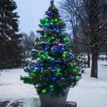 Eglo - Catena natalizia LED da esterno LED 160xLED 2m IP44 multicolor