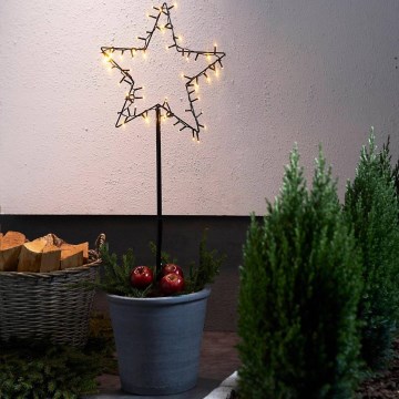 Eglo - Decorazione natalizia da esterno a LED/3xAA IP44 stella