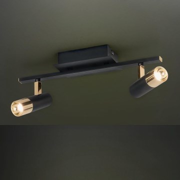 Eglo - Faretto LED 2xLED/5W/230V/12V