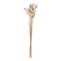 Eglo - Fiore essiccato 60 cm beige