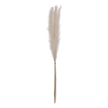 Eglo - Fiore essiccato 70 cm bianco