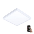 Eglo - Lampada da bagno LED dimmerabile LED/19,5W/230V 2700-6500K IP44 bianco