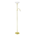 EGLO - Lampada da terra 1xE27/60W + 1xE14/25W ottone