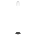 Eglo - Lampada da terra a LED ricaricabile solare 2,3 W / 3,7 V, 3000/4000/6500 K, 1800 mAh, IP44, nera