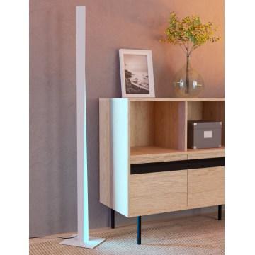 Eglo - Lampada da terra dimmerabile LED RGBW LED/10,5W/230V + LED/15,2W grigio