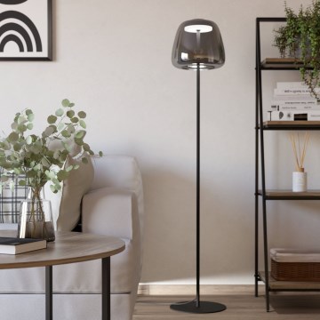 Eglo - Lampada da terra dimmerabile LED RGBW LED/15,5W/230V 2700-6500K fumé