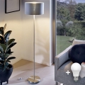 Eglo - Lampada da terra LED TUNJA 1xE27/60W/230V cromo opaco/grigio