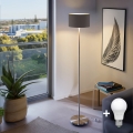 Eglo - Lampada da terra LED TUNJA 1xE27/60W/230V cromo opaco/marrone