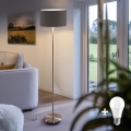 Eglo - Lampada da terra LED TUNJA 1xE27/60W/230V cromo opaco/marrone