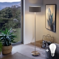 Eglo - Lampada da terra LED TUNJA 1xE27/60W/230V cromo opaco/marrone