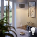 Eglo - Lampada da terra LED TUNJA 1xE27/60W/230V cromo opaco/taupe