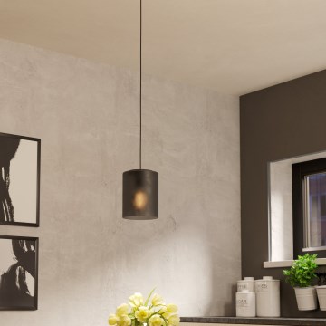 Eglo - Lampadario a sospensione con filo 1xE27/40W/230V grigio