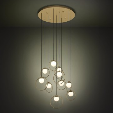 Eglo - Lampadario a sospensione con filo LED dimmerabile 10xLED/3W/230V 3000K diametro 58 cm oro