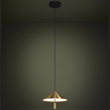 Eglo - Lampadario LED a sospensione con filo LED/12W/230V 3000K oro