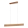 Eglo - Lampadario LED a sospensione con filo LED/17W/230V + LED/4,2W