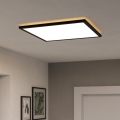 Eglo - LED RGBW Dimmerabile per esterni soffitto chiaro LED/17W/230V 2700-6500K 50x50cm IP44 nero ZigBee