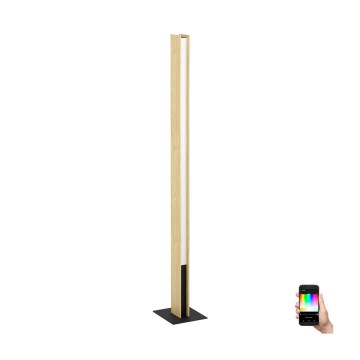 Eglo - LED RGBW Lampada da terra con dimmer LED/35W/230V 2700-6500K