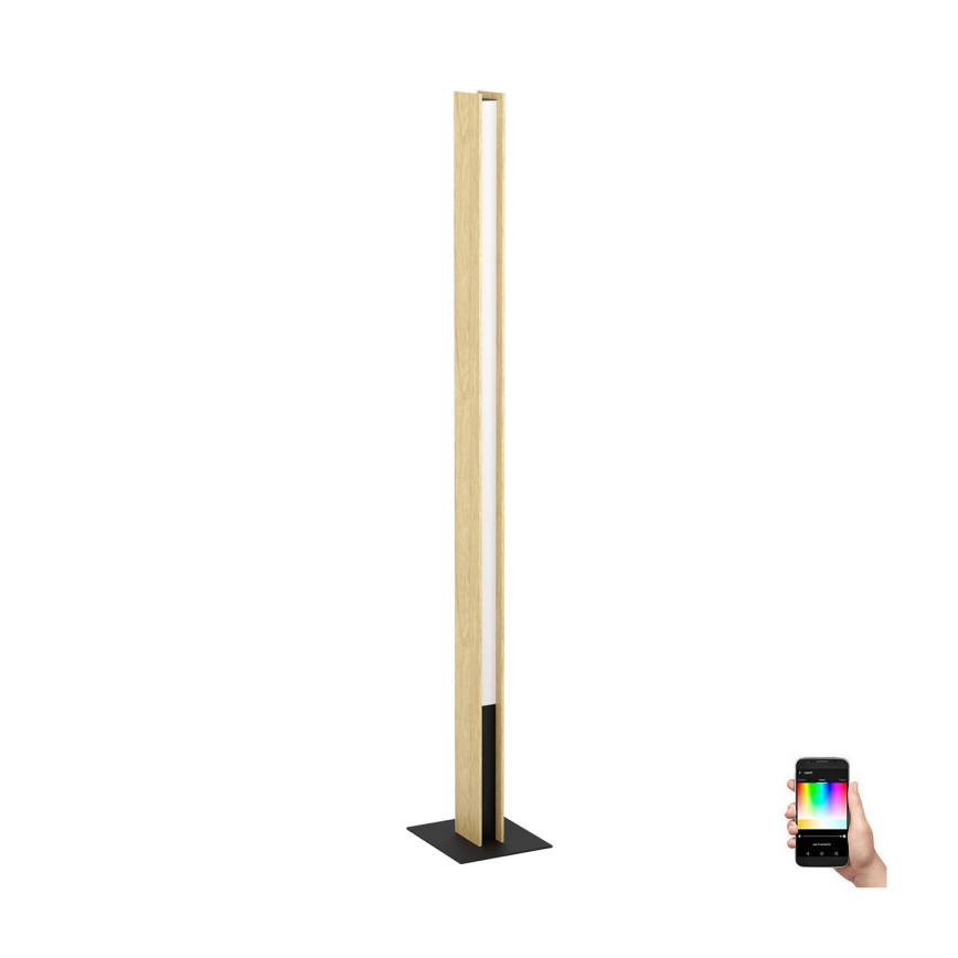 Eglo - LED RGBW Lampada da terra con dimmer LED/35W/230V 2700-6500K