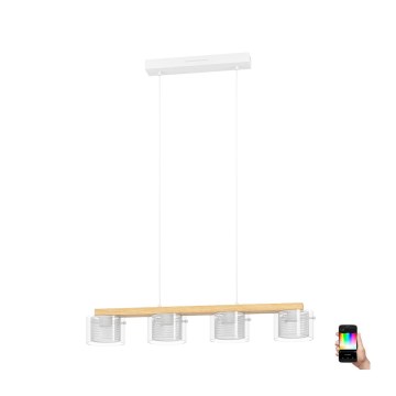 Eglo - LED RGBW Lampadario dimmerabile a sospensione con filo 4xLED/3,7W/230V 2700-6500K