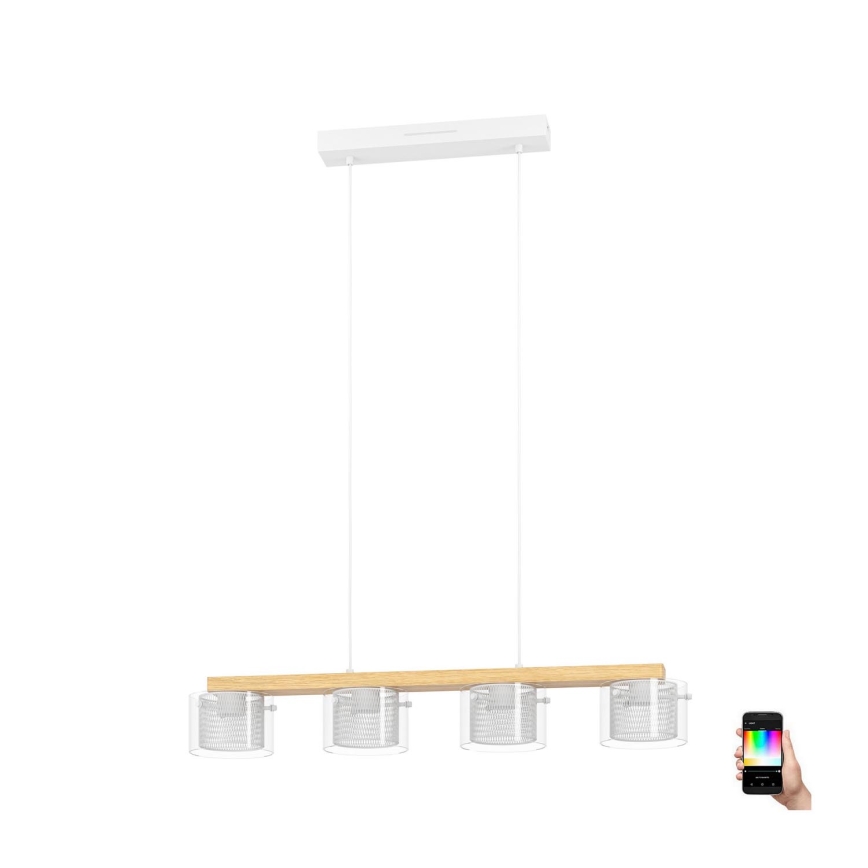 Eglo - LED RGBW Lampadario dimmerabile a sospensione con filo 4xLED/3,7W/230V 2700-6500K