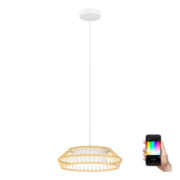 Eglo - LED RGBW Lampadario dimmerabile a sospensione con filo LED/22W/230V 2700-6500K