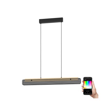 Eglo - LED RGBW Lampadario dimmerabile a sospensione con filo LED/34W/230V 2700-6500K