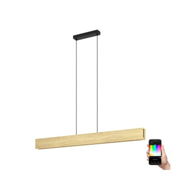 Eglo - LED RGBW Lampadario dimmerabile a sospensione con filo LED/35W/230V 2700-6500K