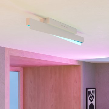 Eglo - LED RGBW Plafoniera dimmerabile LED/13W/230V 2700-6500K grigio