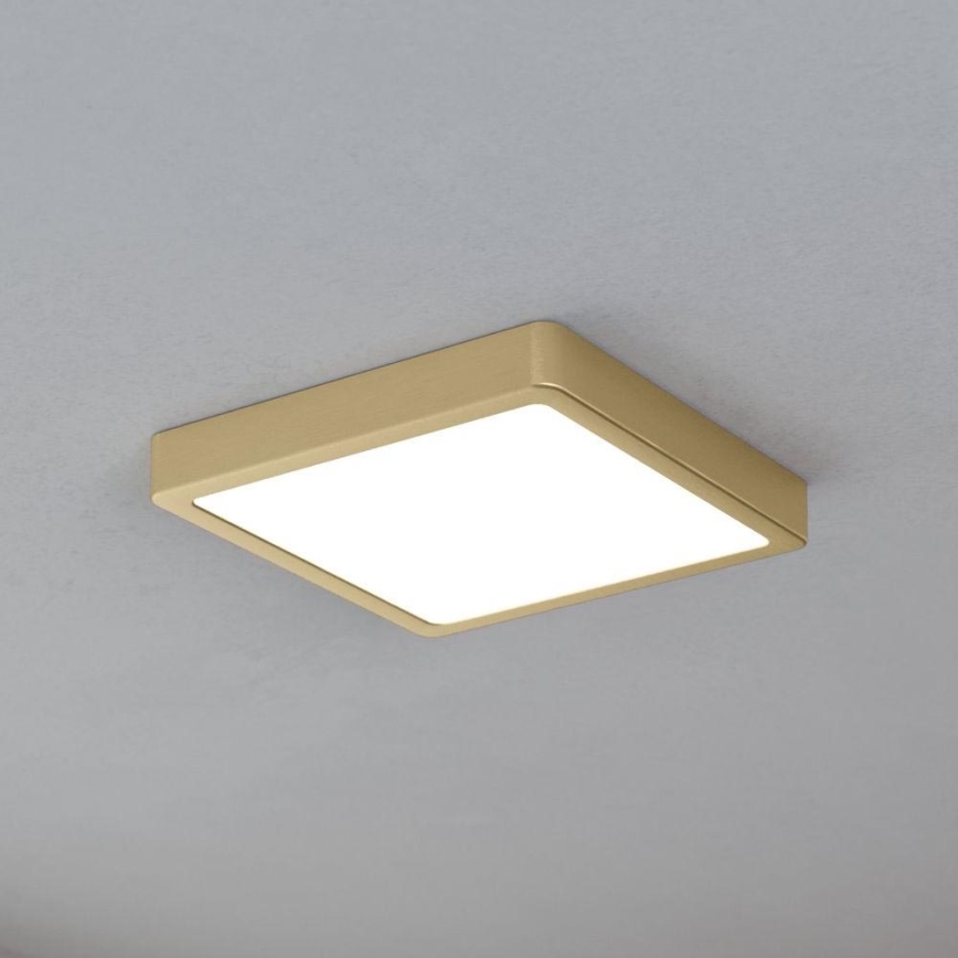 Eglo - Plafoniera LED/17W/230V 21x21 cm