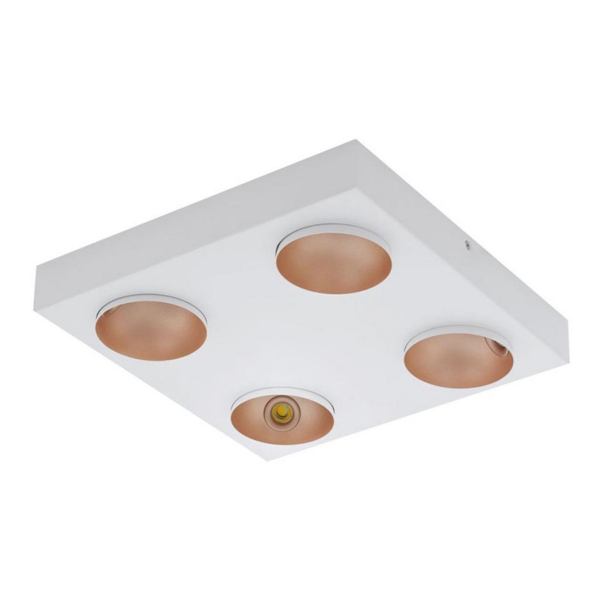 Eglo - Plafoniera LED 4xLED/3,3W/230V