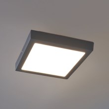 Eglo - Plafoniera LED da esterno LED/22W