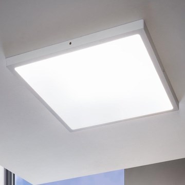 Eglo - Plafoniera LED dimmerabile 1xLED/25W/230V 50x50 cm