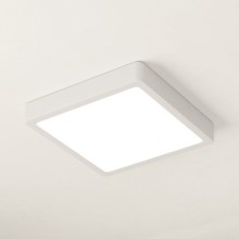 Eglo - Plafoniera LED dimmerabile LED/17W/230V bianco