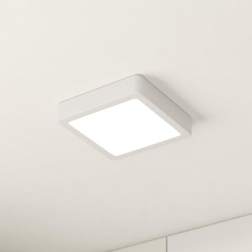 Eglo - Plafoniera LED LED/10,5W/230V