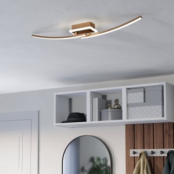Eglo - Plafoniera LED LED/12W/230V 4000K rame
