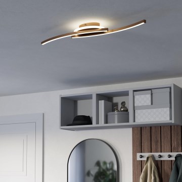 Eglo - Plafoniera LED LED/12W/230V 4000K rame