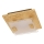 Eglo - Plafoniera LED LED/2,5W/230V